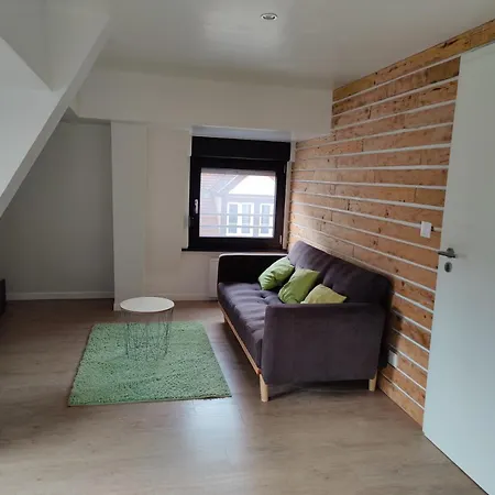 Le Green Duplex Moderne En Hypercentre Sarreguemines Exterior photo