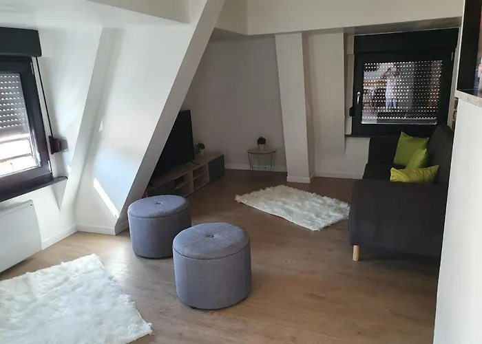 Le Green Duplex Moderne En Hypercentre