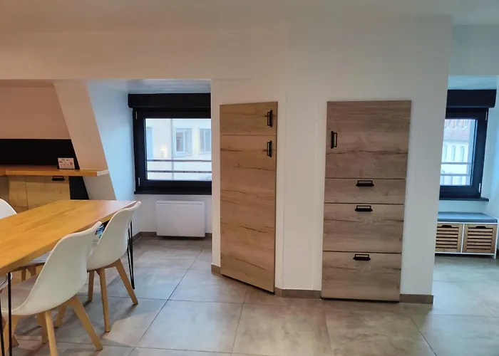 Le Green Duplex Moderne En Hypercentre
